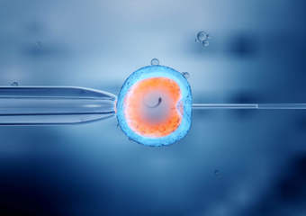 Fertility Department